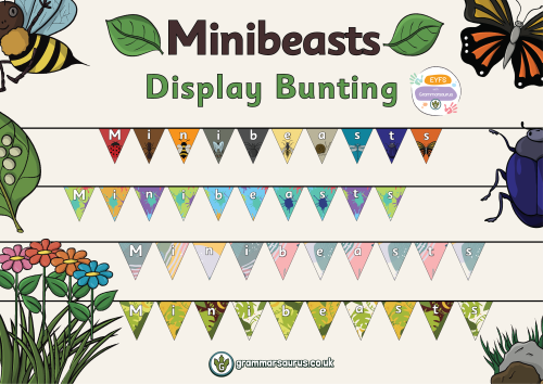 Eyfs Minibeasts Display Bunting Grammarsaurus