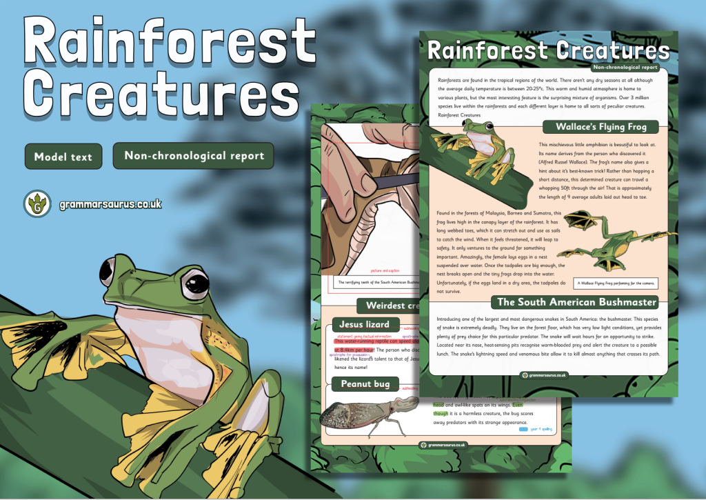 Year Model Text Non Chronological Report Rainforest Creatures