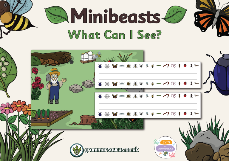 EYFS Minibeasts What Can I See Grammarsaurus