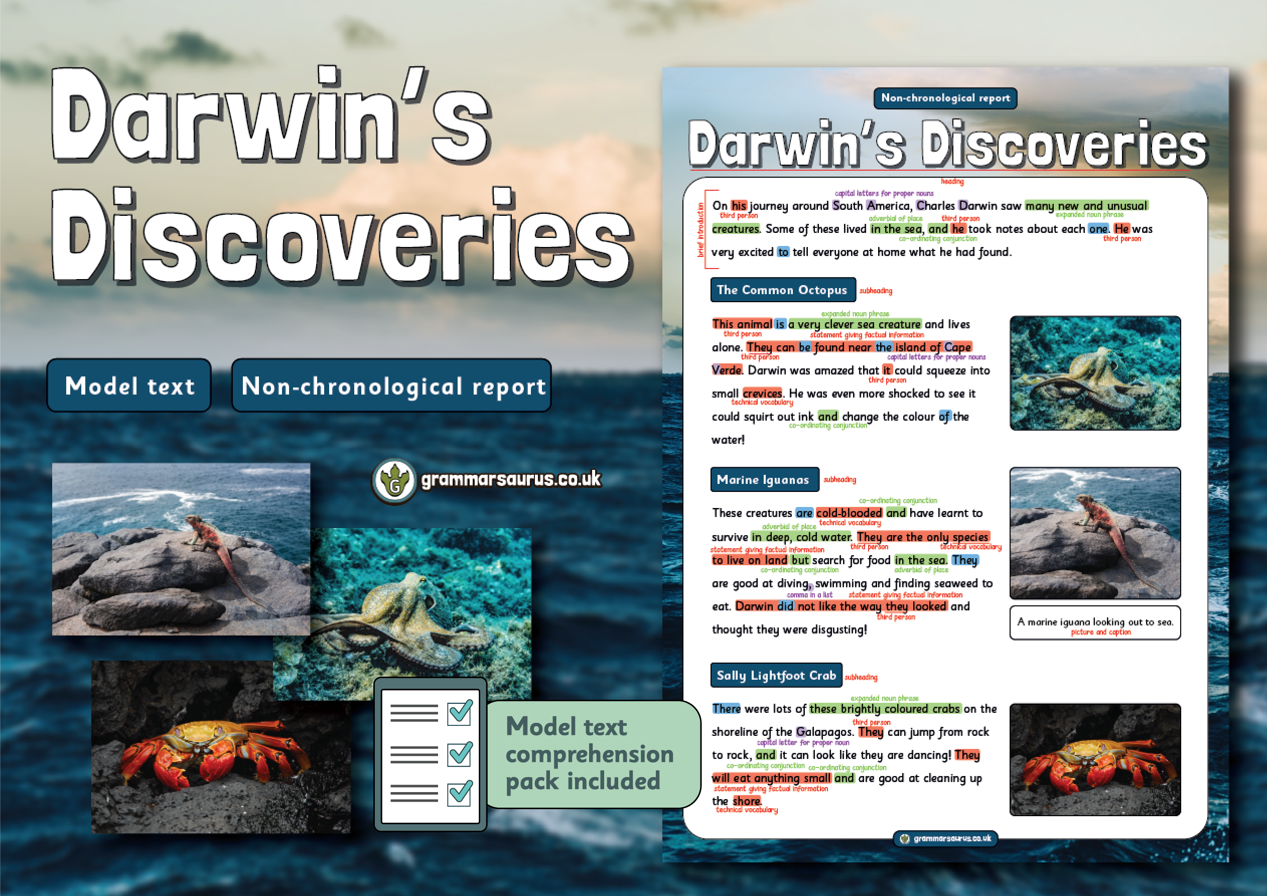 Year Model Text Non Chronological Report Darwin S Discoveries