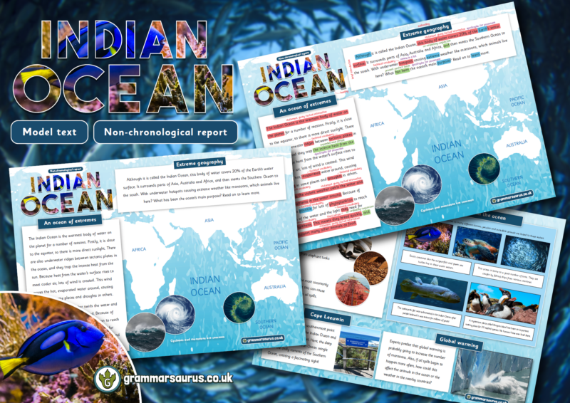 Year Model Text Non Chronological Report Indian Ocean Grammarsaurus