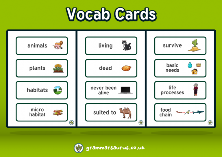 Science Living Things and their Habitats Vocabulary Cards