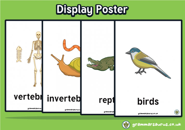 Science - Animals including Humans - Display Poster - Grammarsaurus