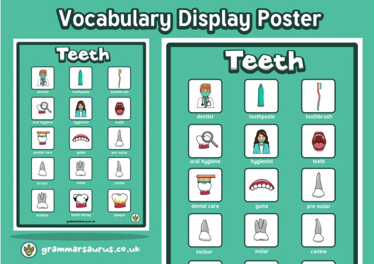 Science - Teeth Investigation - Vocabulary Display Poster - Grammarsaurus
