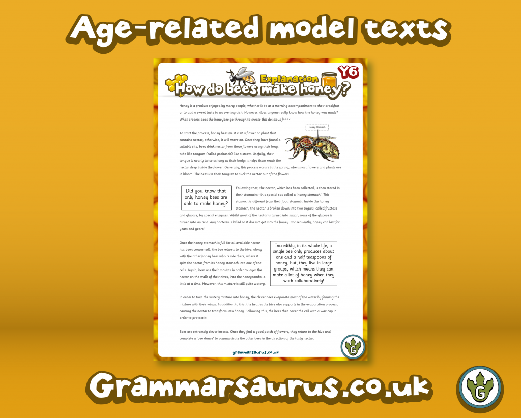 year-6-model-text-explanation-how-do-bees-make-honey-gbsct-p6