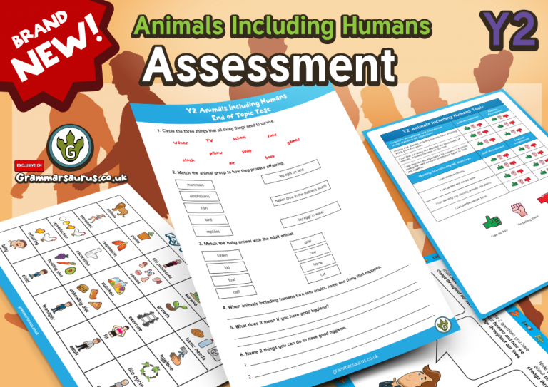 Year 2 Animals including Humans Grammarsaurus