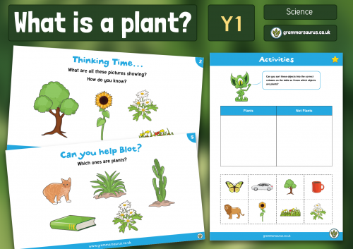 Year 1 Science - Plants - What is a Plant? - Lesson 1 - Grammarsaurus