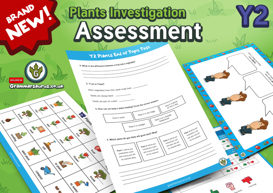 Year 2 Science Plants Assessment Pack Grammarsaurus 5259