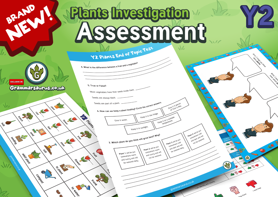 Year 2 Science - Plants - Assessment Pack - Grammarsaurus