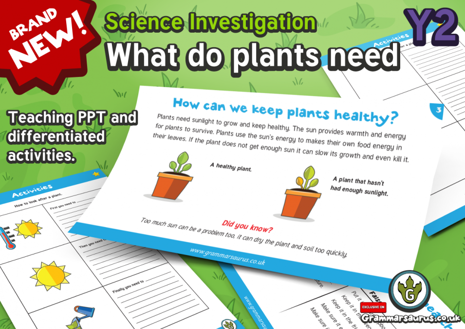 Year 2 Science - What Do Plants Need? - Lesson 3 - Grammarsaurus