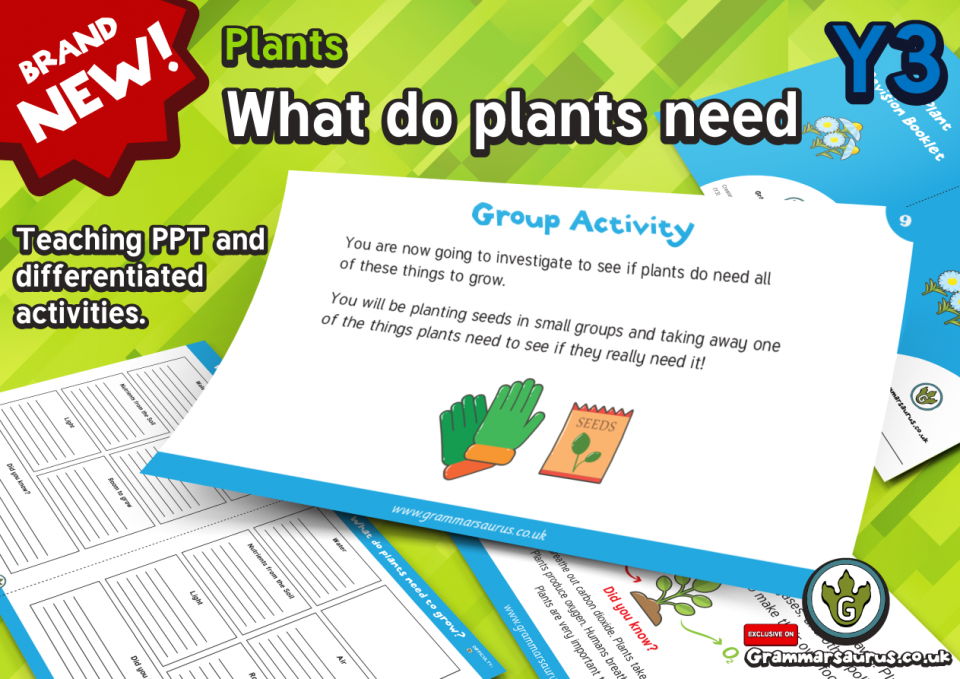 Year 3 Science Plants What do plants need? Lesson 1 Grammarsaurus
