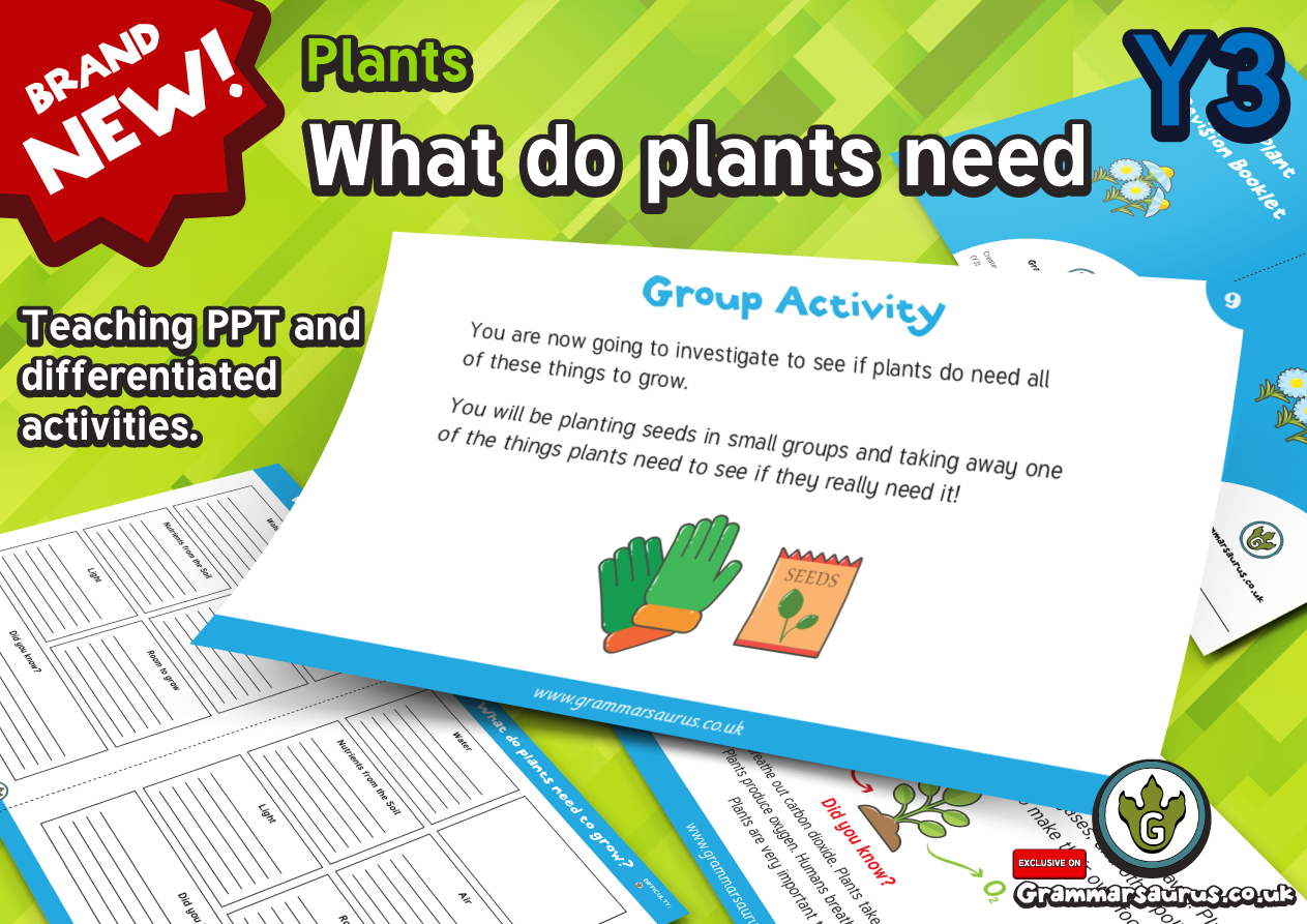 Year 3 Science - Plants - What do plants need? - Lesson 1 - Grammarsaurus