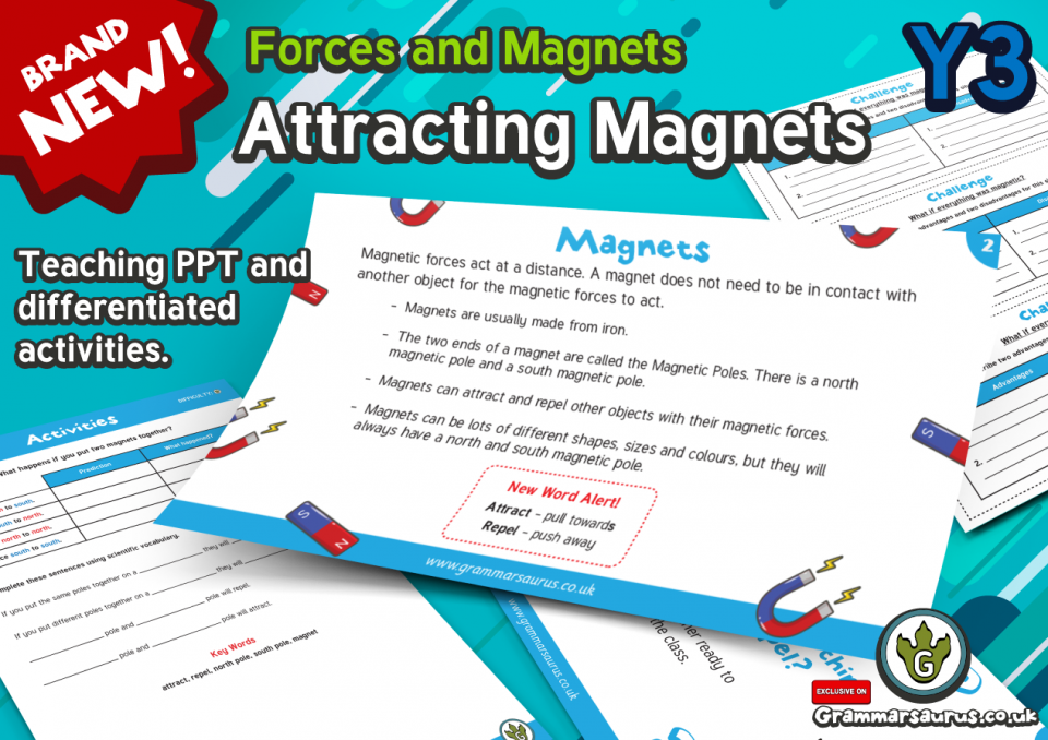 year 3 forces and magnets planning