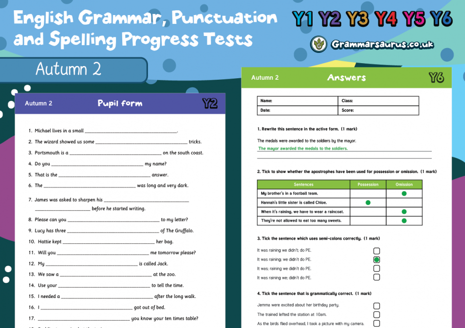 year 1 english grammar punctuation and spelling progress tests