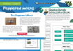 Year 6 Science - Evolution - Natural Selection - Lesson 3 - Grammarsaurus