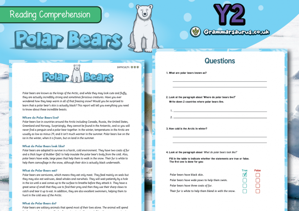 Year 2 Differentiated Reading Prehension Polar Bears