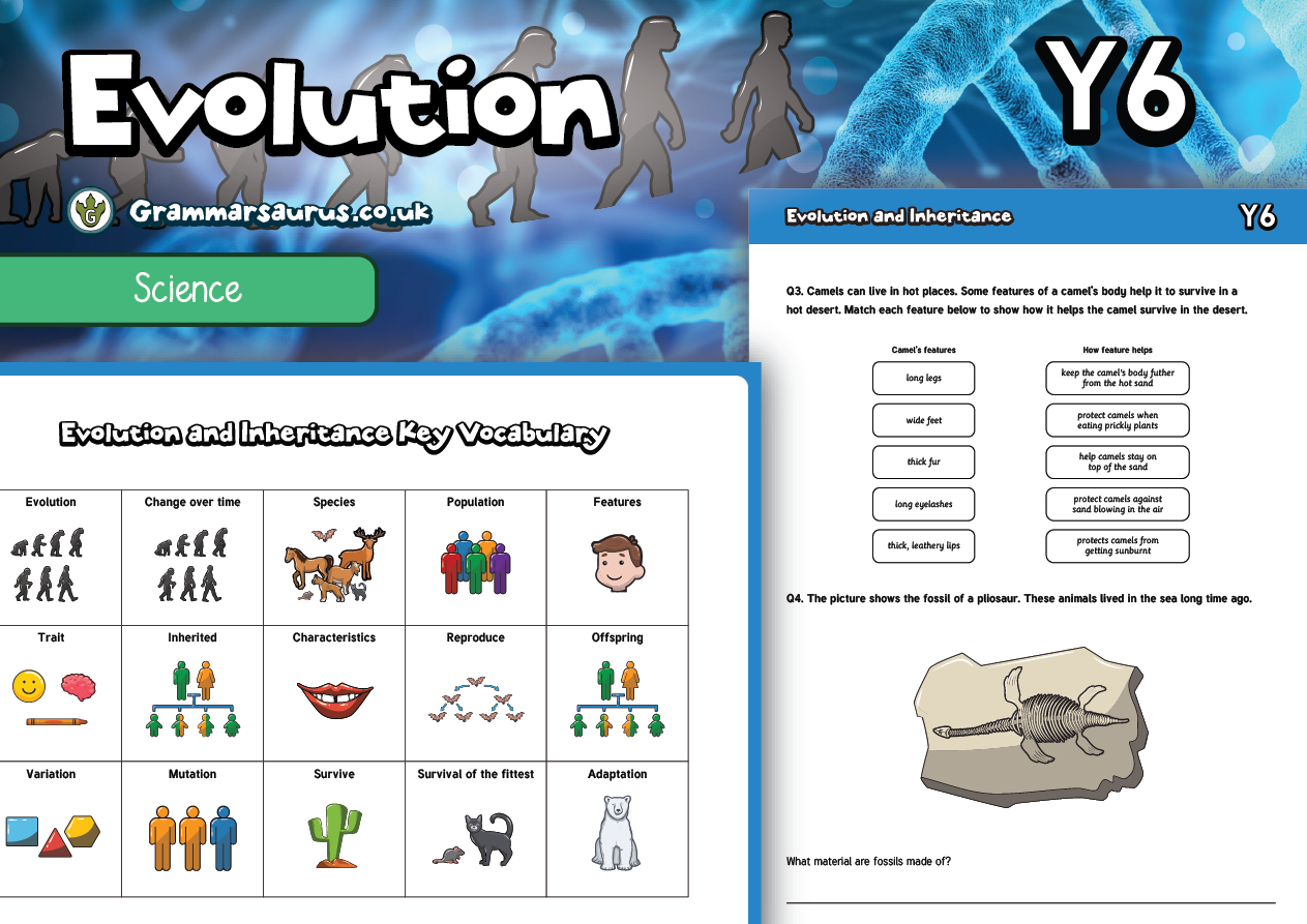 Evolution science