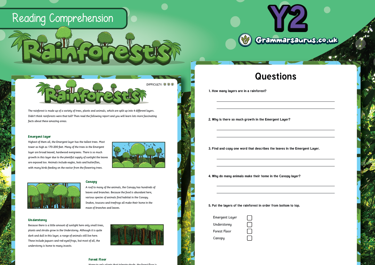 Rainforest worksheets for preschool picture
