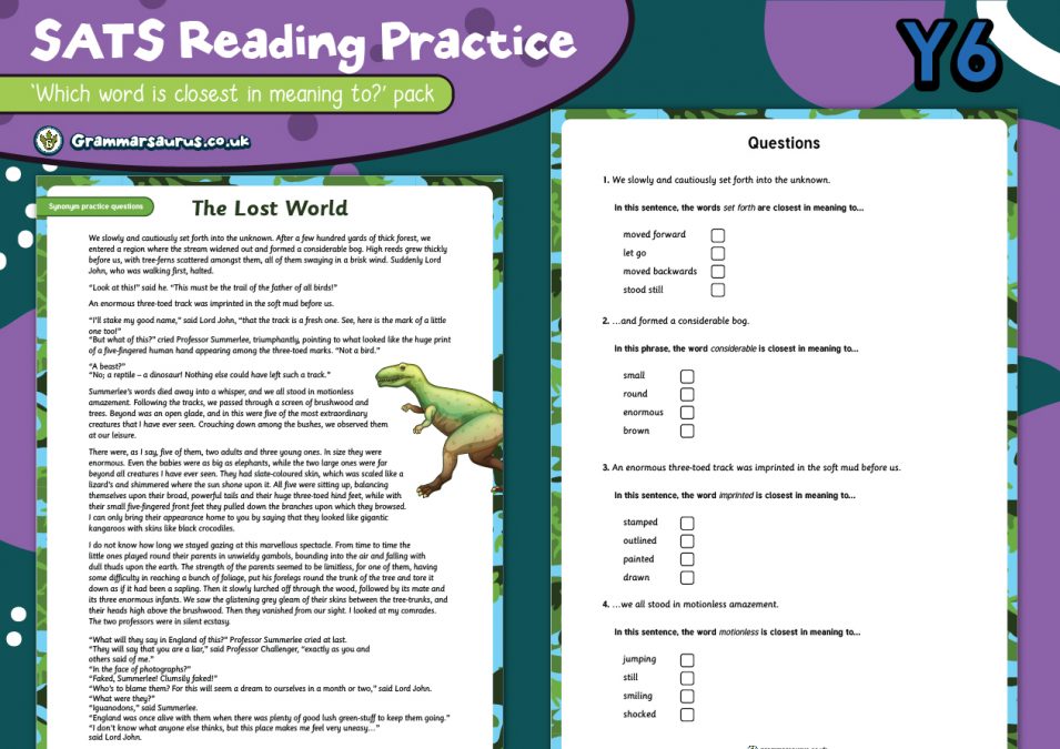 Year 6 Reading Comprehension Pack - SATs Practice - Synonyms