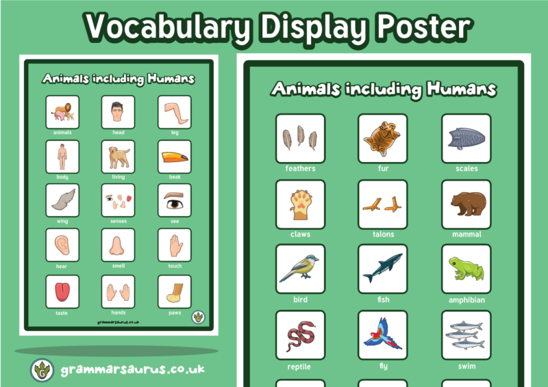 Science - Animals Including Humans - Vocabulary Display Poster ...