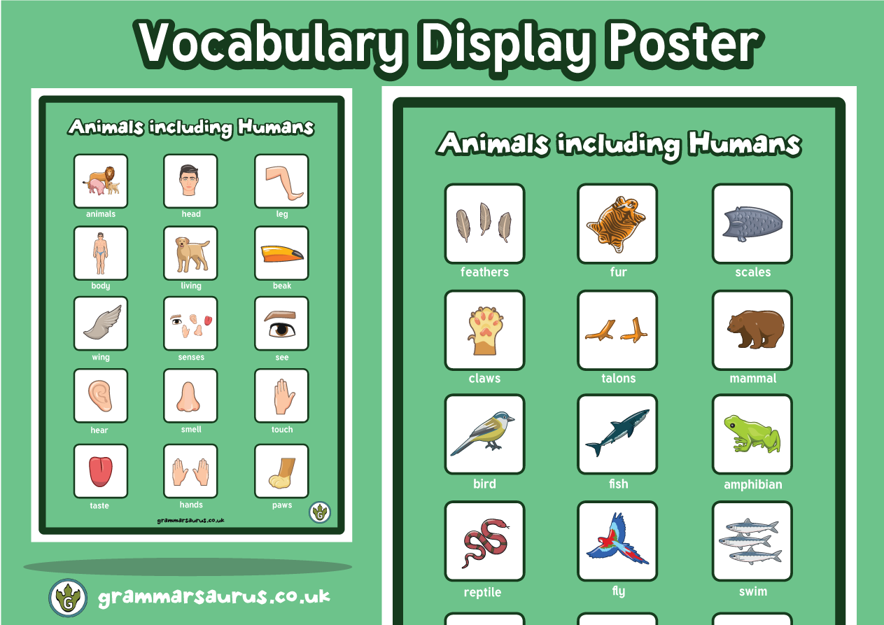 science-animals-including-humans-vocabulary-display-poster-grammarsaurus