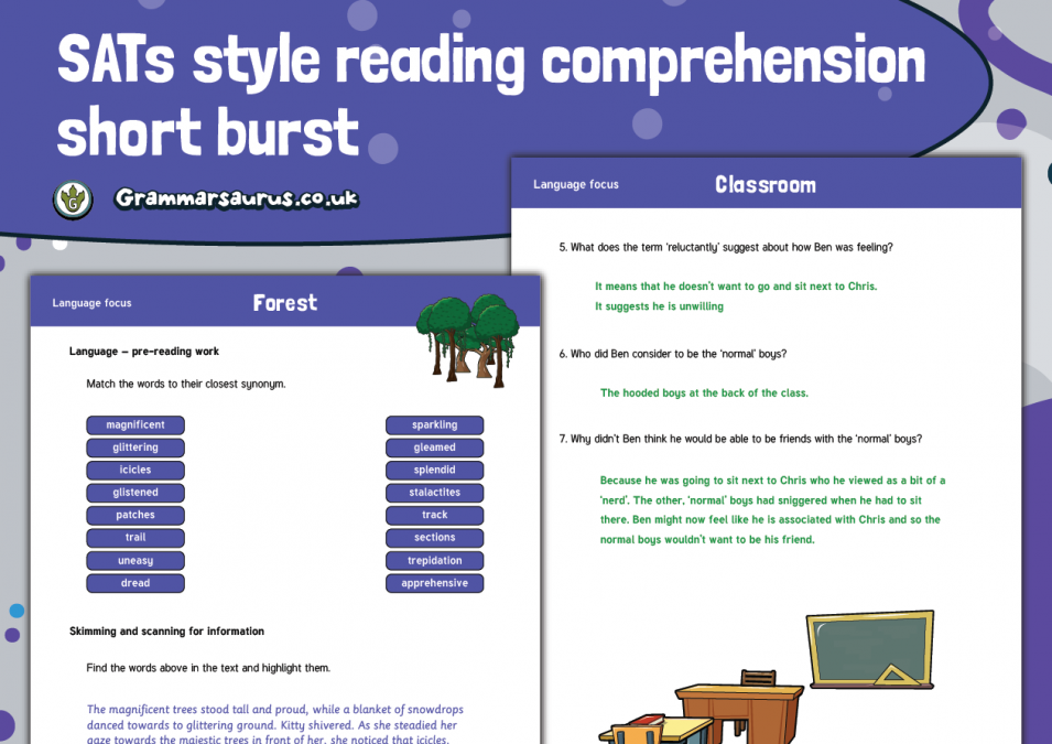 Year 6 SATs Style Reading Prehension Short Burst