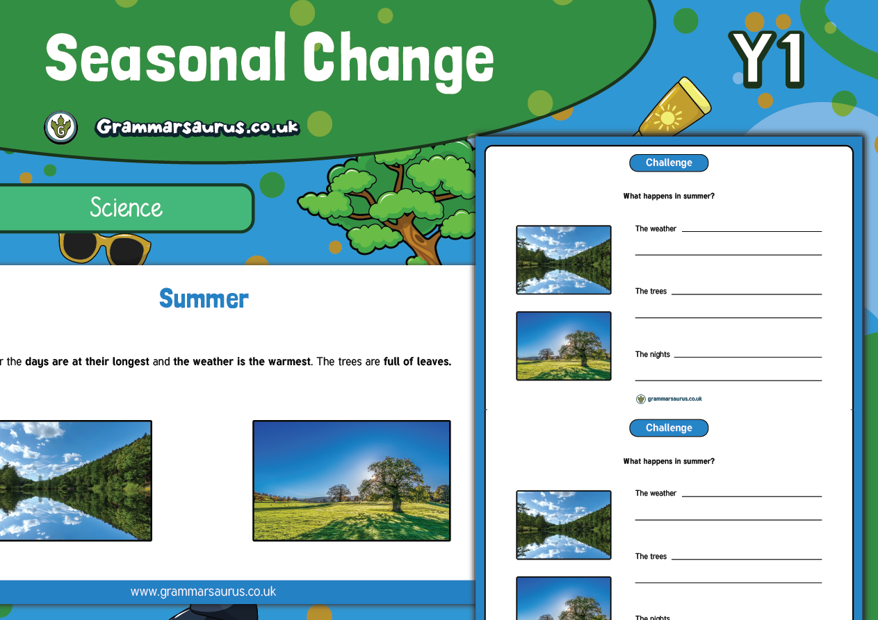 Year 1 Science Seasonal Changes Summer Grammarsaurus