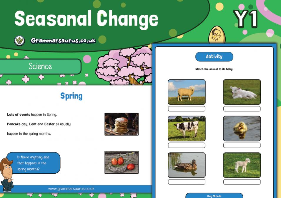 Year 1 Seasonal Changes Grammarsaurus