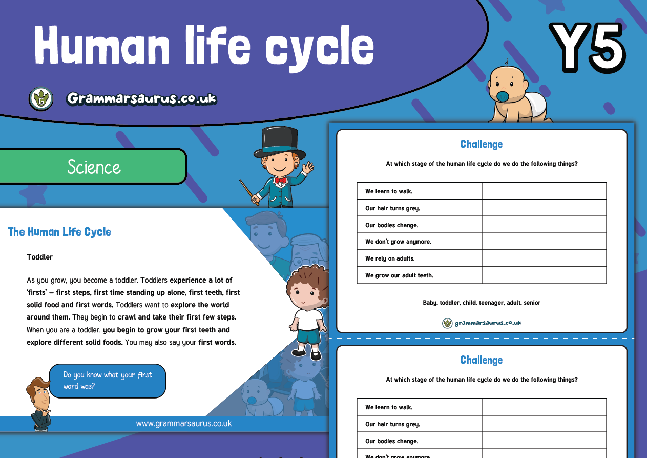 Year 5 Science Animals Including Humans Human Life Cycle Lesson 1 Grammarsaurus