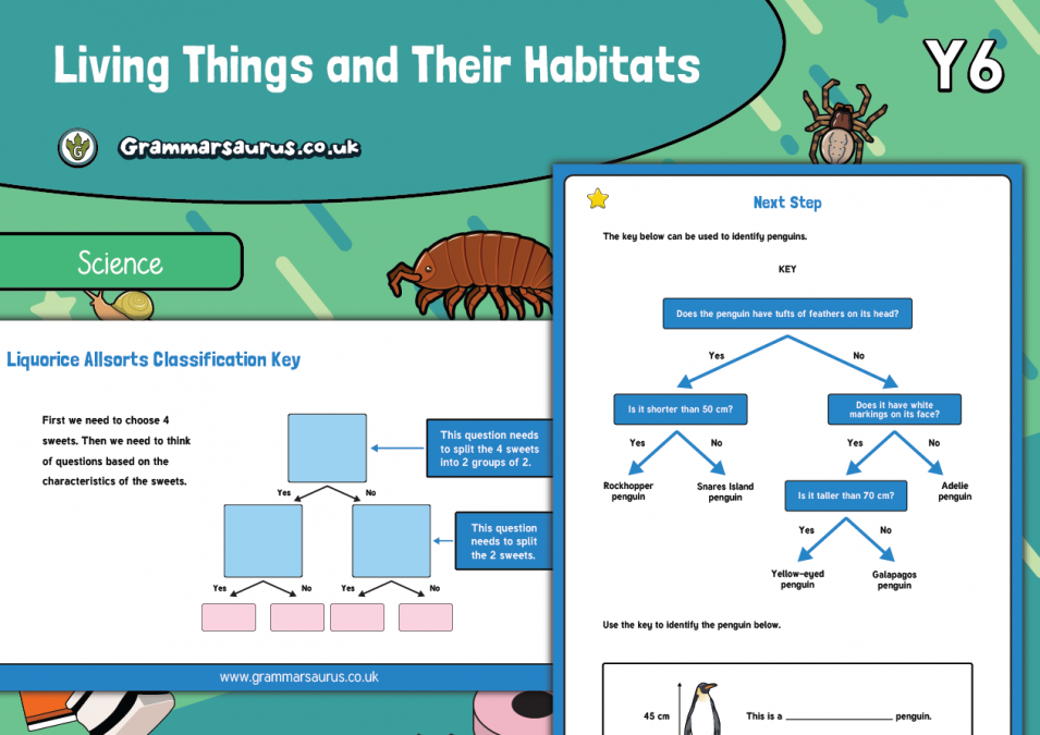 Year 6 Science - Living Things And Their Habitats - Classification Keys ...