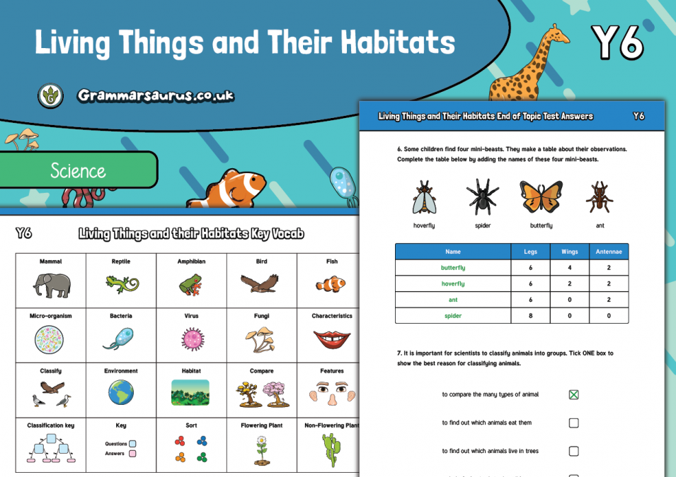 Year 6 Science Living Things and their Habitats Assessment Pack