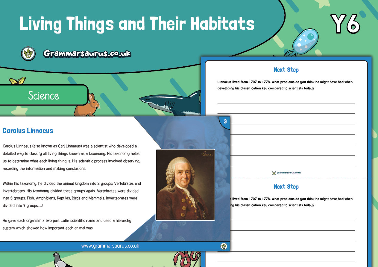 Year 6 Science Living Things And Their Habitats Linnaeus Classification Lesson 6 1124