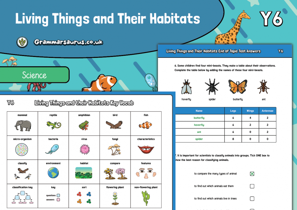 Year 6 Science - Living Things And Their Habitats – Assessment Pack ...