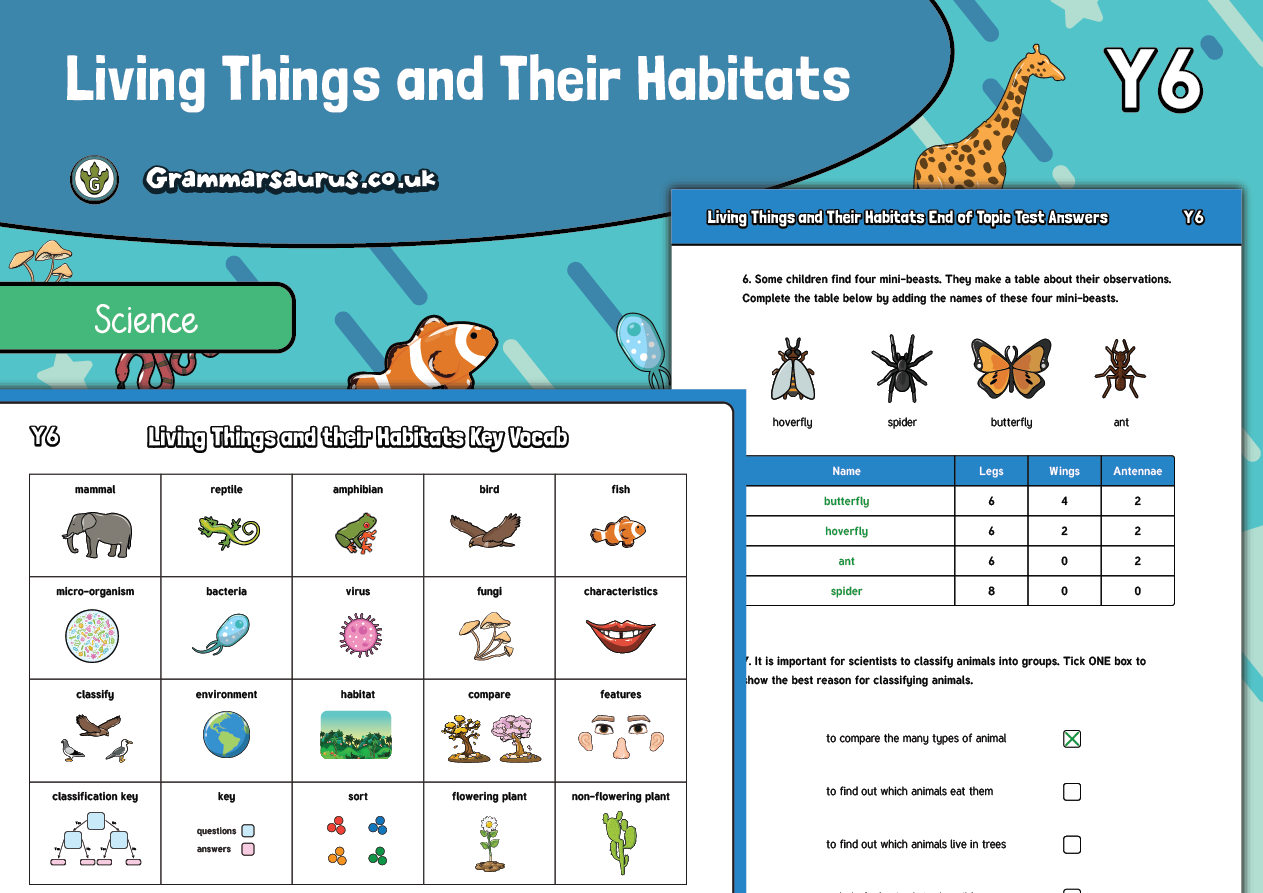 year 6 science living things and their habitats assessment pack grammarsaurus