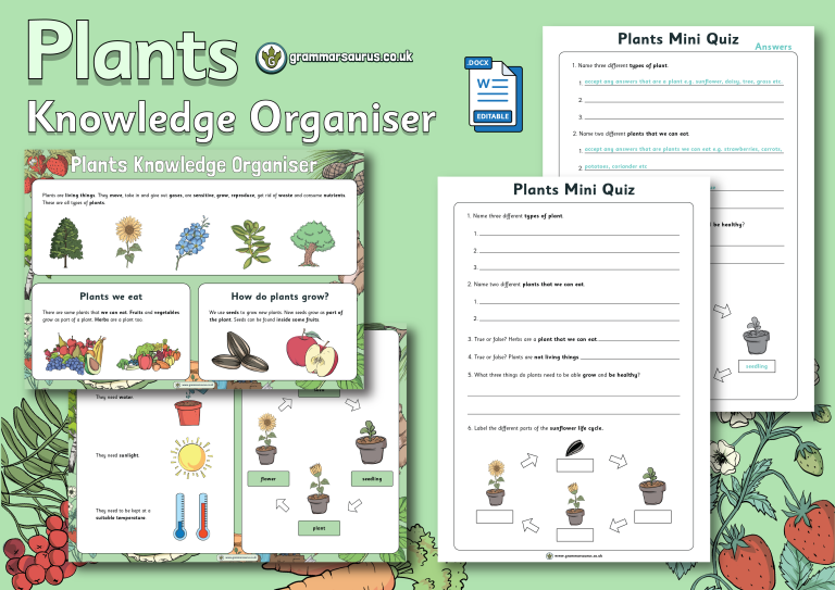 Year 2 Science - Plants - Knowledge Organiser - Grammarsaurus