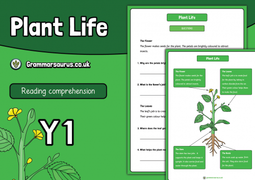 Year 1 Reading Comprehension - Plant Life - Grammarsaurus