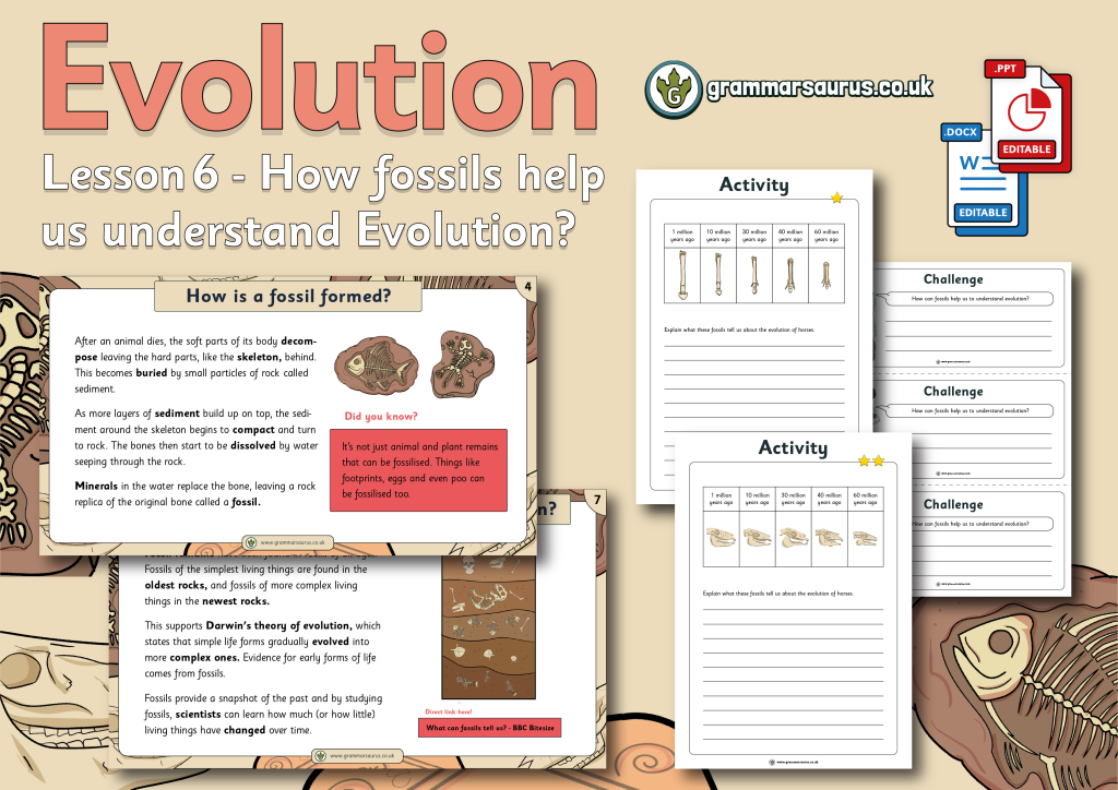 Year 6 Science Evolution How Fossils Help Us Understand Evolution Lesson 6 Grammarsaurus