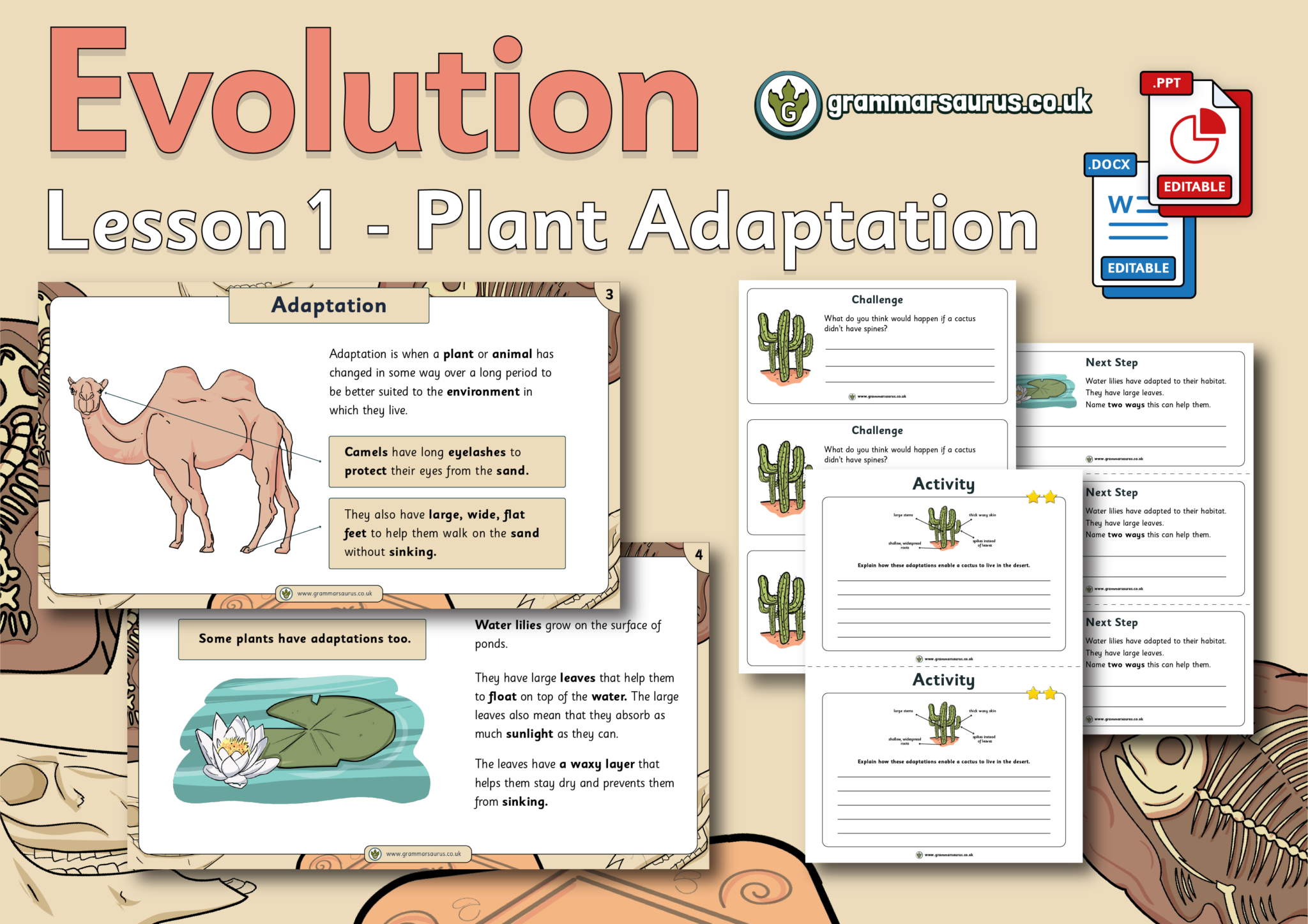 Year 6 Science - Evolution - Plant Adaptation - Lesson 1 - Grammarsaurus