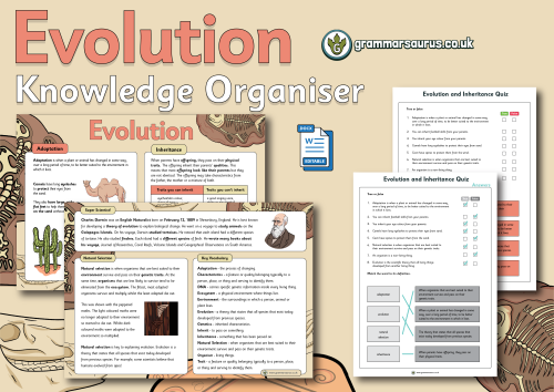 Year 6 Science - Evolution - Knowledge Organiser - Grammarsaurus