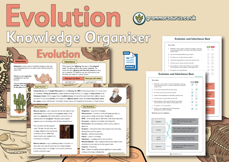 Year 6 Evolution - Grammarsaurus