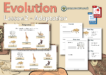Year 6 Science - Evolution - Adaptation - Lesson 2 - Grammarsaurus