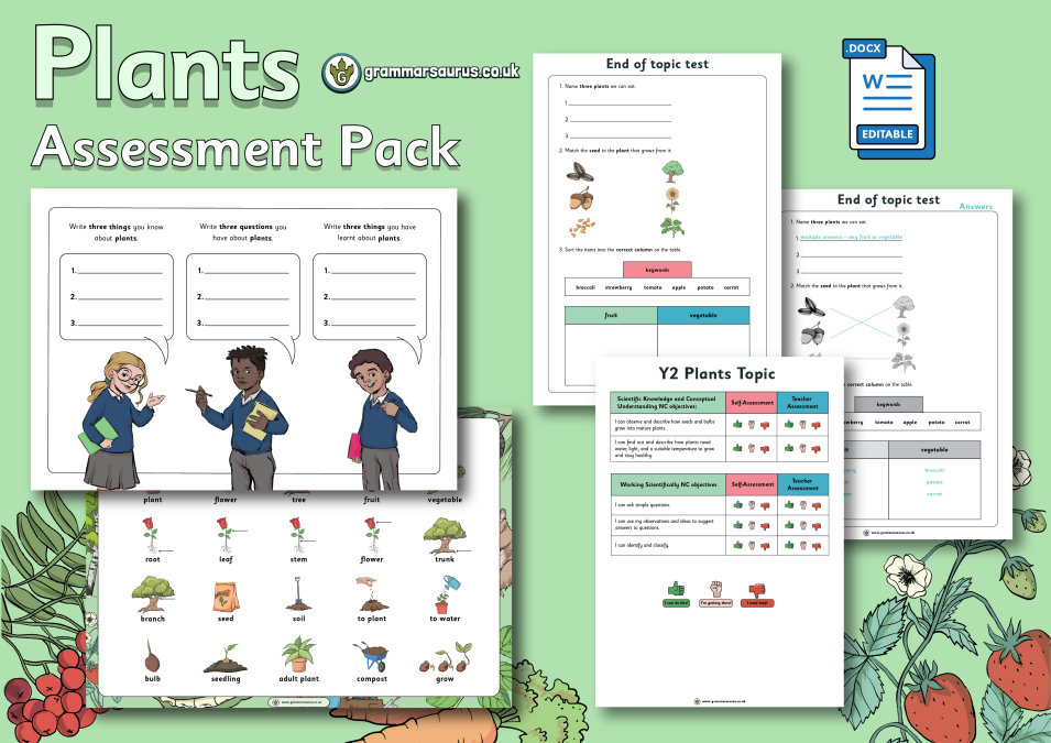 Year 2 Science Plants Assessment Pack Grammarsaurus