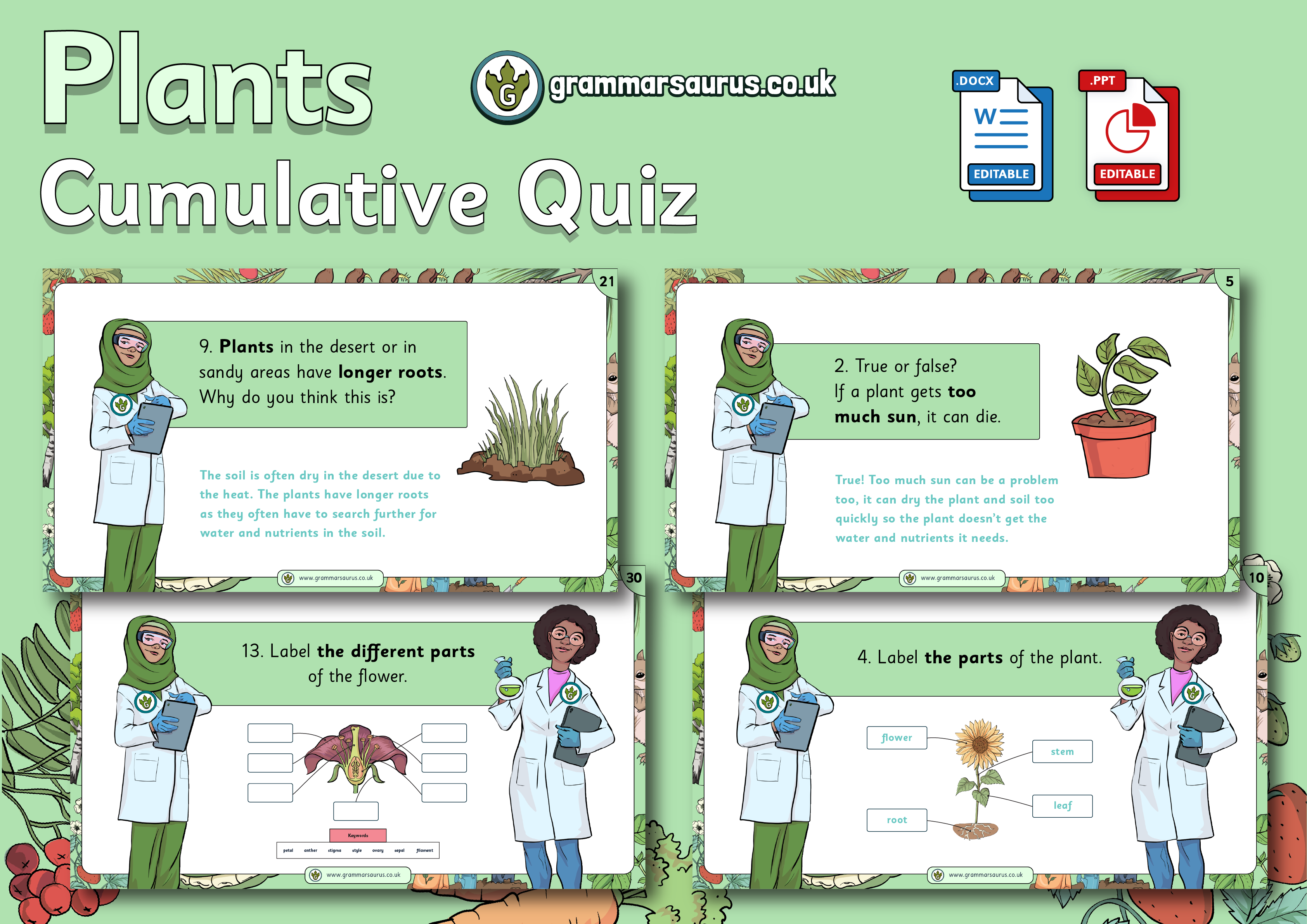 Year 3 Science - Plants - Cumulative Quiz - Grammarsaurus