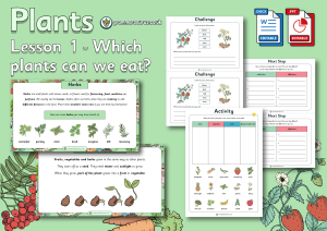 Year 2 Plants - Grammarsaurus