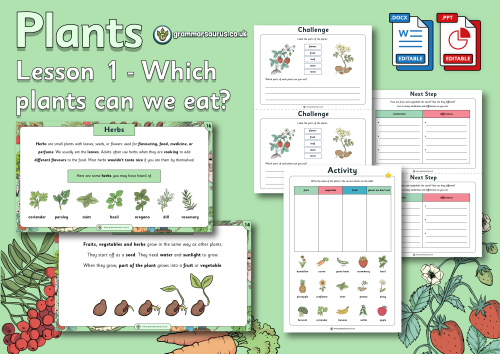 Year 2 Science - Plants - Which plants can we eat? Lesson 1 - Grammarsaurus