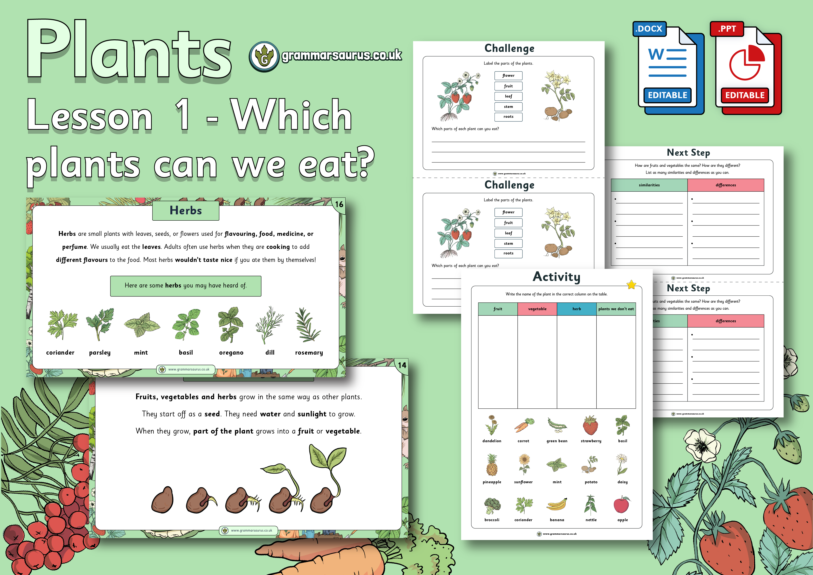 Year 2 Science - Plants - Which plants can we eat? Lesson 1 - Grammarsaurus