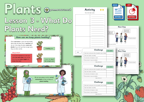 Year 2 Science - Plants - What Do Plants Need? Lesson 3 - Grammarsaurus