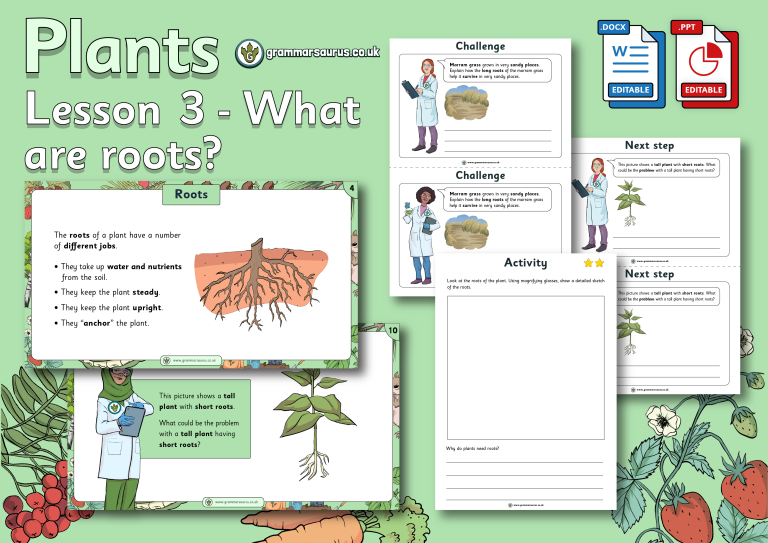 Year 3 Plants - Grammarsaurus