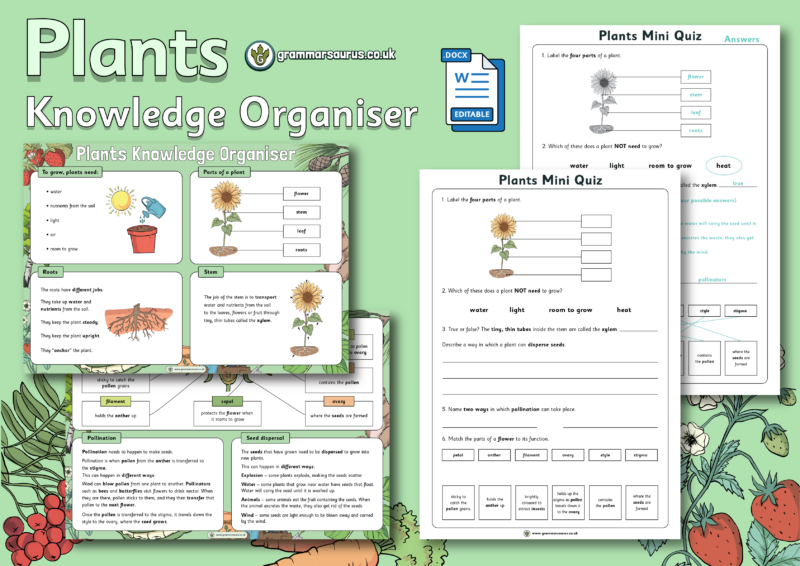 Year 3 Science - Plants - Knowledge Organiser - Grammarsaurus