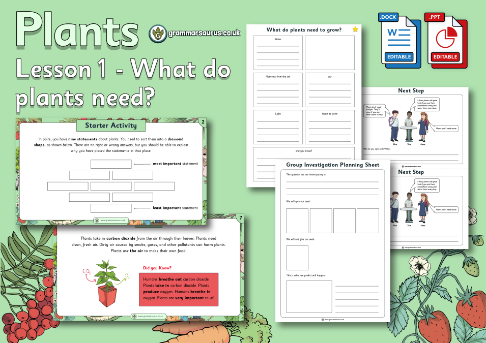 Year 3 Science Plants What Do Plants Need Lesson 1 Grammarsaurus 2712